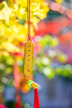 xì dách di động 8Day